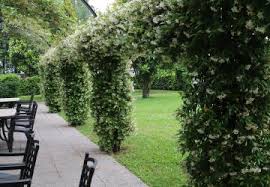 INTERROGAZIONE – Progetto Parco San Rocco: a che punto siamo?